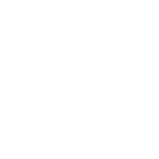 Support Icon